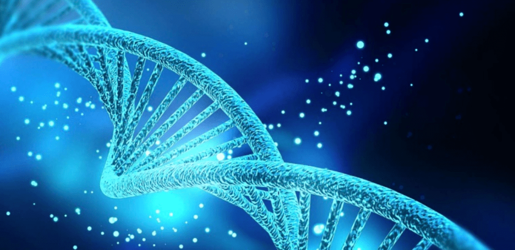 Ne vous conformez pas : osez être&nbsp;transformé