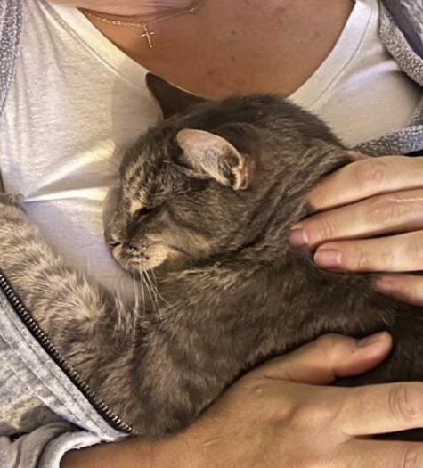 Témoignage d’un passage – Mon chat, le vivant, et&nbsp;l’invisible